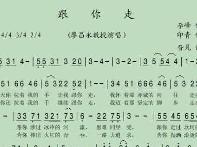 跟你走 把一切献给党 廖昌永美声